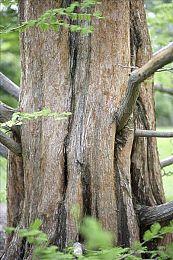 《Apex英雄》遭黑客入侵 只因不满重生对《泰坦》黑客整治不力